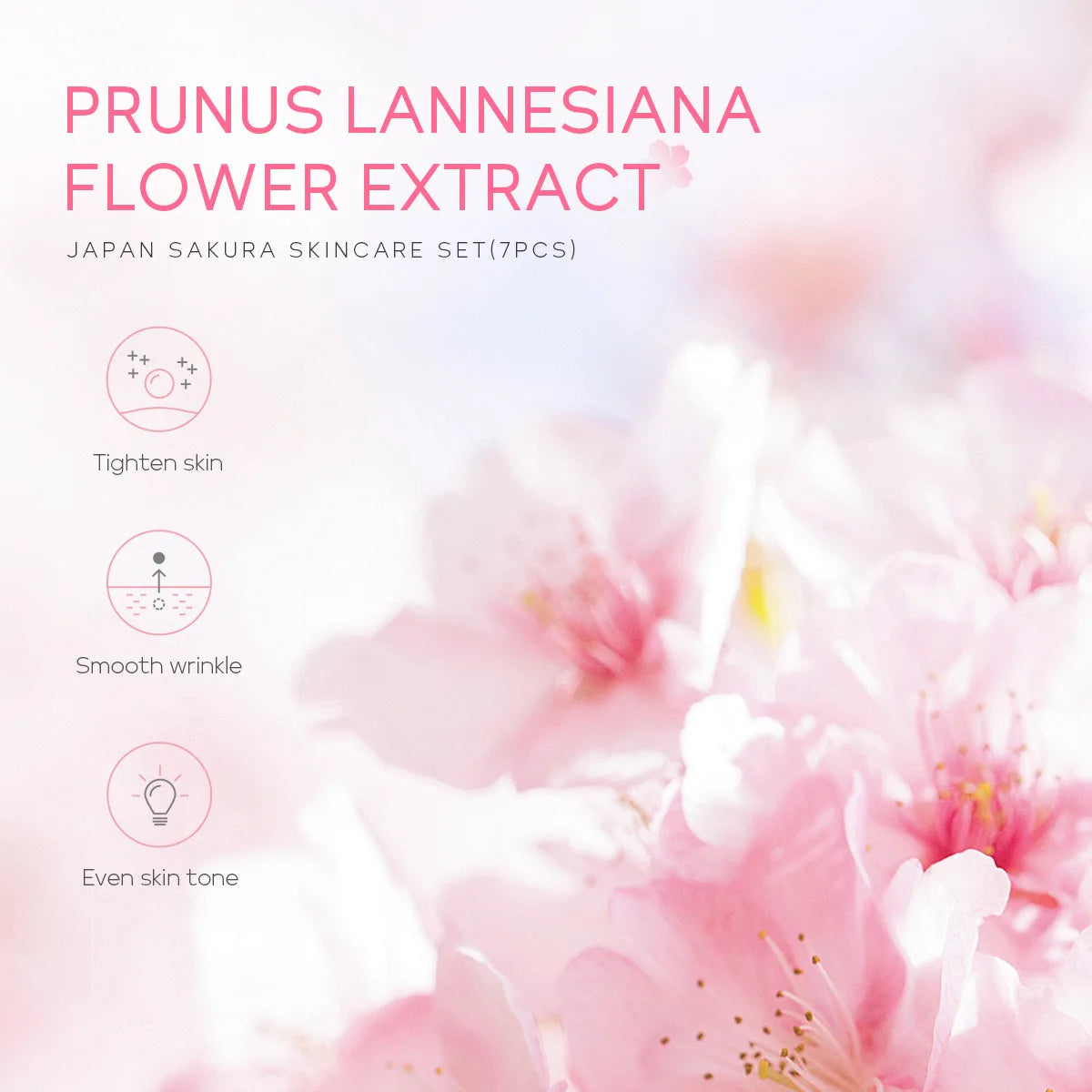 30G Japan Sakura Essence Face Cream Hydrate Moisturizing Cherry Blossom Refreshing Essence Facial Lotion Korean Skincare
